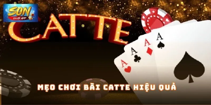 Mẹo chơi bài Catte hiệu quả